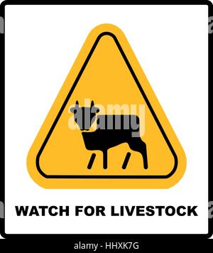 Kuh Warnschild gelb. Bauernhof Gefahrensymbol Aufmerksamkeit. Gefahr Straßenschild gelbe Dreieck Rinder. Vektor-Illustration isoliert auf weiss Stock Vektor
