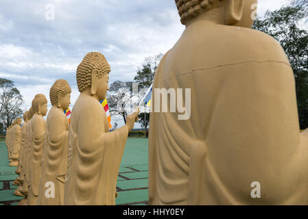 Viele Buddha-Statuen in der Perspektive im buddhistischen Tempel in Foz do Iguaçu, Brasilien. Stockfoto