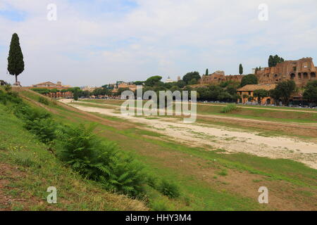 Der Circus Maximus in Rom, Italien Stockfoto