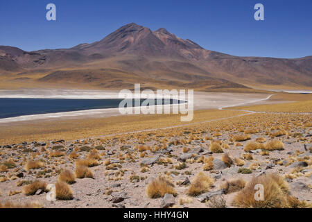 Laguna Miscanti in Atacama-Wüste, Reserva Nacional Los Flamencos, Norte Grande, Chile Stockfoto