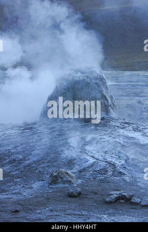 Sprudelnde, dampfende Geysir an Geysire del Tatio, Atacama-Wüste, Norte Grande, Chile Stockfoto