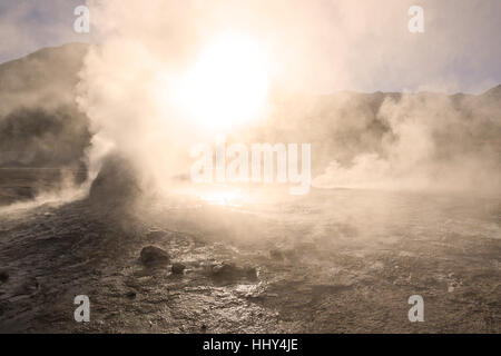 Sprudelnde, dampfende Geysire in del Tatio Geysire, Atacama-Wüste, Chile Norte Grande Stockfoto