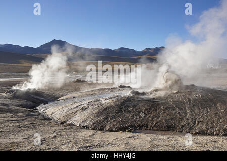 Sprudelnde, dampfende Geysire in del Tatio Geysire, Atacama-Wüste, Chile Norte Grande Stockfoto