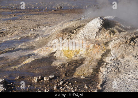 Sprudelnde, dampfende Geysir an Geysire del Tatio, Atacama-Wüste, Norte Grande, Chile Stockfoto