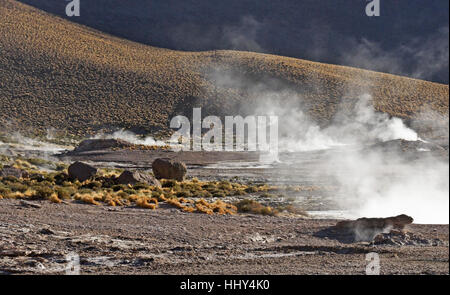 Sprudelnde, dampfende Geysire in del Tatio Geysire, Atacama-Wüste, Chile Norte Grande Stockfoto