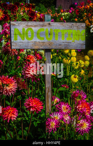 Kein Schneiden-Zeichen im Garten Stockfoto