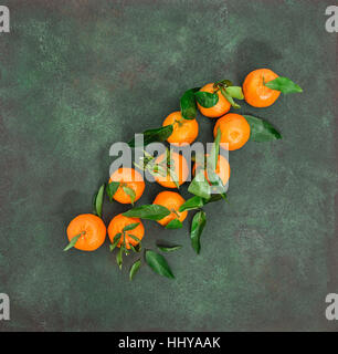 Mandarinen-Früchte. Orange Mandarine mit frischen Blättern auf dunkelgrünen Hintergrund Stockfoto