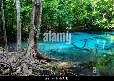 SRA Morakot Blue Pool zur Provinz Krabi, Thailand Stockfoto