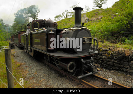 Merddin Emrys auf Coed Hafod-y-Llyn wieder Bahn Stockfoto