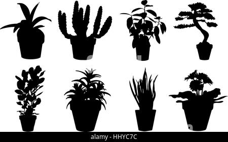 Satz von Topfpflanzen isoliert Stock Vektor