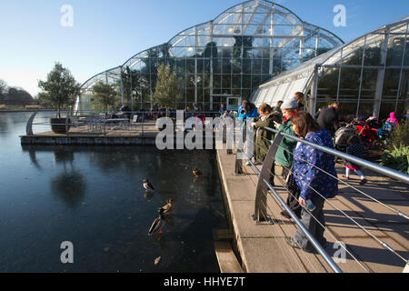 Eisigen Temperaturen schaffen Frost bedeckt, Landschaften und Gärten an der RHS Garden Wisley, Surrey, England, UK Stockfoto