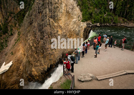 WYOMING - übersehen Besucher genießen Rand der Lower Falls im Grand Canyon des Yellowstone River im Yellowstone Park Natl. Stockfoto