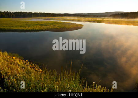 WY02119-00... WYOMING - frühen Morgennebel über Pelikan Creek in der Nähe der Endstation in Yellowstone Lake; Yellowstone-Nationalpark. Stockfoto