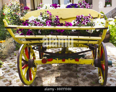 Wagen mit Blumen Stockfoto