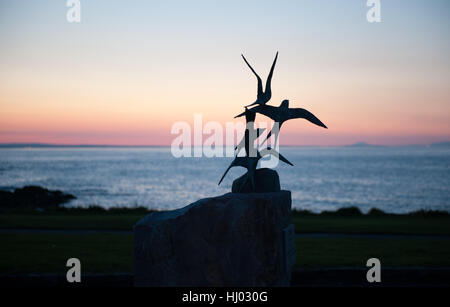 Eine Bronzeskulptur von Seeschwalben Brid NI Rinn in Skerries Hafen an einem Abendzeit in Irland Stockfoto