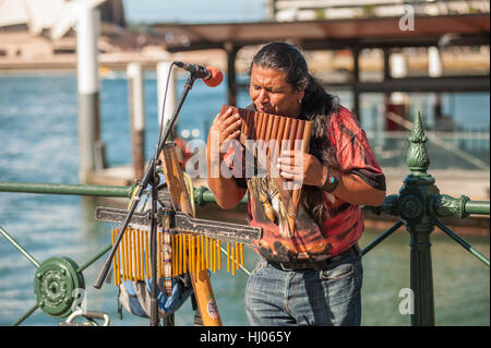 Ecuadorianischen Mann spielt Panflöte entlang den Hafen von Sydney, Australien Stockfoto