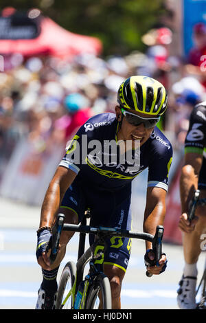 Adelaide, South Australia, Australien. 21. Januar 2017. Esteban Chaves, Orica Scott, 3., 5. Etappe der Tour Down Under, Australien am 21. Januar 2017 beendet Credit: Gary Francis/ZUMA Draht/Alamy Live News Stockfoto