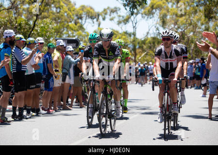 Adelaide, Australien. 21. Januar 2017. Fahrrad Exchange 5. Etappe McLaren Vale Willunga Hill, Santos Tour Down Under, 21. Januar 2017. Bildnachweis: Peter Mundy/Alamy Live-Nachrichten Stockfoto