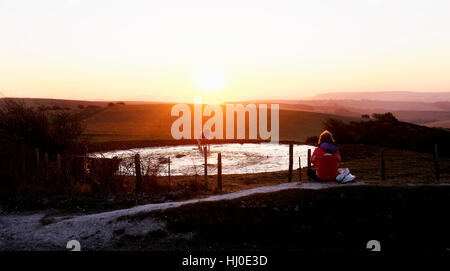 Brighton, UK. 21. Januar 2017. Rinder trinken aus einem gefrorenen Tau Teich beim Sonnenaufgang über den South Downs Way bei Ditchling Beacon nördlich von Brighton Vormittag mit Temperaturen, die es voraussichtlich auch unterhalb des Gefrierpunktes in der südlich von Großbritannien Credit: Simon Dack/Alamy Live News Stockfoto