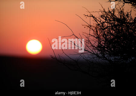 Brighton, UK. 21. Januar 2017. Die Sonne geht über der South Downs Way bei Ditchling Beacon nördlich von Brighton Vormittag mit Temperaturen, die es voraussichtlich gut unter dem Gefrierpunkt im Süden von Großbritannien Credit: Simon Dack/Alamy Live News Stockfoto