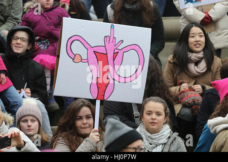 Kingston, Kanada. 21. Januar 2017. Menschen Sie protestieren und Schilder hochhalten Sie, während der Frauen Marsches in Kingston. Der Marsch ist in Unterstützung mit der Frauen März in Washington, D.C. Credit: Lars Hagberg/Alamy Live News Stockfoto