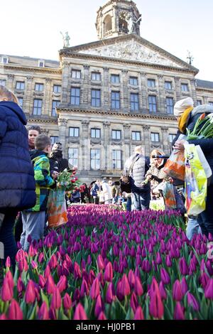 Amsterdam, Niederlande. 21. Januar 2017. Besucher wählen Tulpen während der 2017 niederländische Tulpe Nationalfeiertag in Amsterdam, Niederlande. Mehr als 200.000 Tulpen sind am Damplatz in Amsterdam am Samstag angezeigt. Dieses Ereignis markiert den Beginn der Tulpe-Saison in den Niederlanden. Bildnachweis: Sylvia Lederer/Xinhua/Alamy Live-Nachrichten Stockfoto