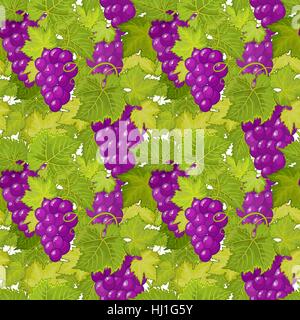 nahtlose Vektormuster mit Trauben und Blätter Stock Vektor