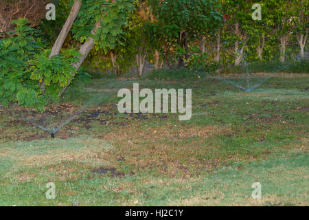 Garten automatische Bewässerungssystem sprühen Bewässerung Rasen an einem Sommertag Stockfoto