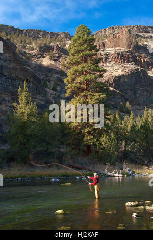 Fliegenfischen in Crooked River Canyon, krummen Wild and Scenic River senken Crooked River National Back Country Byway, Oregon Stockfoto