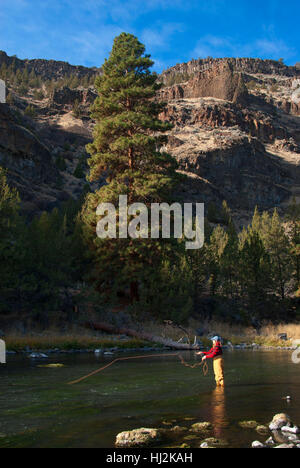 Fliegenfischen in Crooked River Canyon, krummen Wild and Scenic River senken Crooked River National Back Country Byway, Oregon Stockfoto