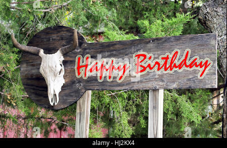 Alles Gute zum Geburtstag Schild mit alten Kuh Schädel. Stockfoto