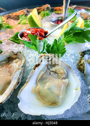 Rohe Austern auf der Schalenhälfte, Gourmet-Restaurant Essen, USA Stockfoto