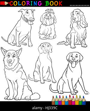 Hund, Illustration, Cartoon, Spaniel, Bildung, comic, verspielt, Tiere, Haustiere, Stockfoto