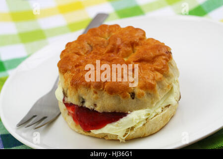 Frisch gebackenen englischen Scone mit traditionellen Clotted Cream und Erdbeermarmelade auf weißen Teller, Nahaufnahme Stockfoto