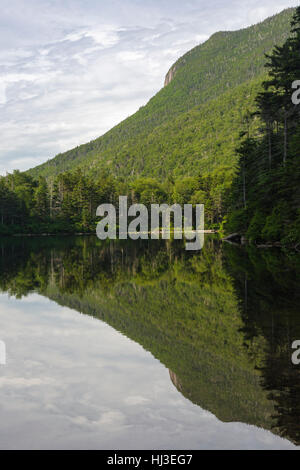 Greeley Teiche Scenic Area - Spiegelbild im oberen Greeley Teich in den White Mountains, New Hampshire, USA. Stockfoto