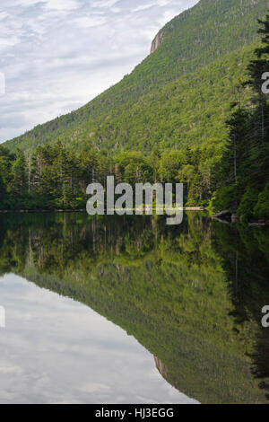 Greeley Teiche Scenic Area - Spiegelbild im oberen Greeley Teich in den White Mountains, New Hampshire, USA. Stockfoto