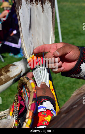 Native American Indian Navaho Nahaufnahme eines Teils der Tracht mit Federn, Inter-Tribal Pow Wow in Prescott Arizona Stockfoto