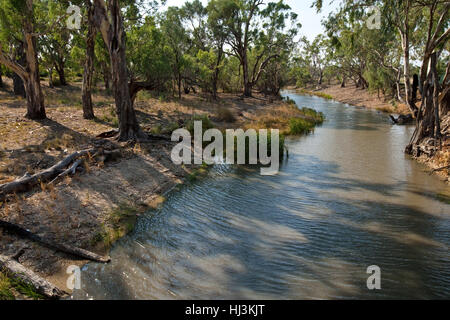 River Red Gum (E. Camaldulensis) säumen das Ufer von Edward River, in der Nähe von Moulamein, Western New South Wales. Stockfoto
