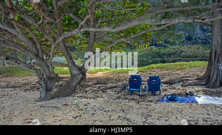 Zwei Strandkörbe im Schatten eines Baumes in Waimanalo Beach, Windward Oahu, Hawaii, USA Stockfoto