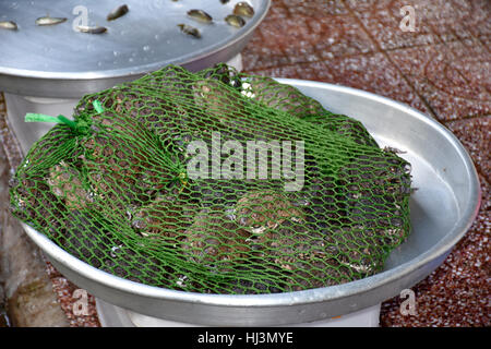 Fisch zum Verkauf, Cho Ben Thanh Markt, Ho-Chi-Minh-Stadt, Vietnam Stockfoto