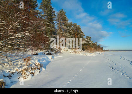 Vselug See im Winter. Penovskiy Bezirk, Oblast Twer, Russland. Stockfoto