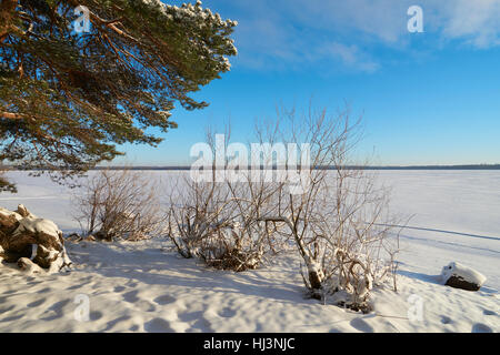 Vselug See im Winter. Penovskiy Bezirk, Oblast Twer, Russland. Stockfoto