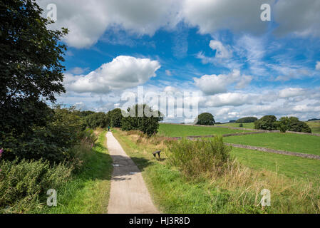 Die Tissington Trail an einem schönen Sommertag im Peak District National Park. Stockfoto