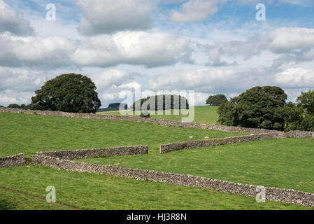 Trockenmauer und Wiesen in der Nähe von Parwich in den Peak District National Park. Stockfoto