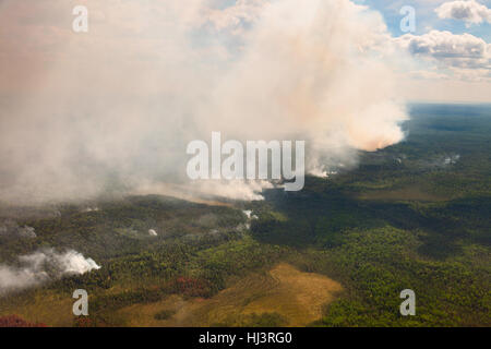 Wildfire im Wald, Ansicht von oben Stockfoto