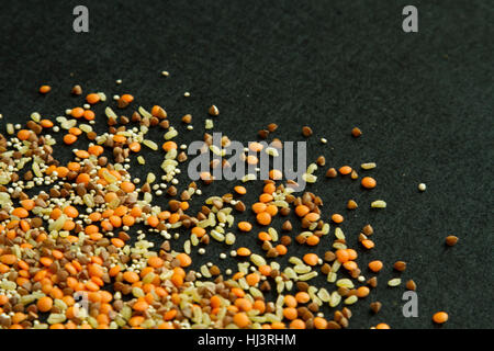 Vier verschiedene Grützen: Linsen, Quinoa, Buchweizen, Bulgur auf schwarzem Hintergrund Stockfoto