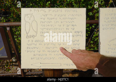 Der Mensch lesen Braille-Info-Tafel oder Schild mit Finger im Naturschutzgebiet mit Umriss Vogel oder Eule Oppedette Schlucht Provence Stockfoto