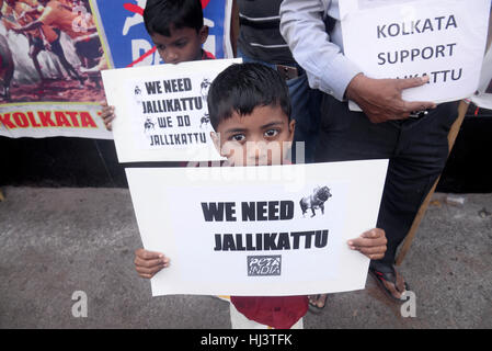 Kolkata, Indien. 22. Januar 2017. Tamilische Gemeinschaft von Kolkata Protest zur Aufhebung des Verbots auf Jallikattu dauerhaft, auch protestieren gegen PETA eine gemeinnützige Tiere richtigen Organisation deren Petition Supreme Court Jallikattu verboten. Jallikattu ist ein Tamil traditioneller Sport in dem welchem ein Stier, in Menge von Menschen, mehrere Personen versuchen freigegeben wird, schnappen Sie sich die großen Buckel des Stieres und hängen, während der Stier versucht zu entkommen. Bildnachweis: Saikat Paul/Pacific Press/Alamy Live-Nachrichten Stockfoto