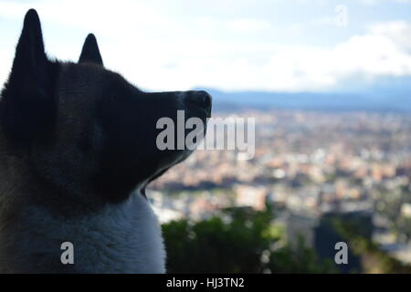 Blick in die Zukunft Stockfoto