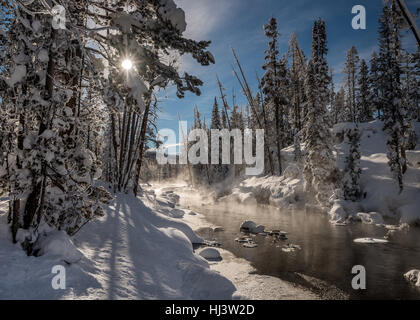 Sonne scheint durch die Bäume entlang eines Baches schneereichen Winter in Idaho Stockfoto